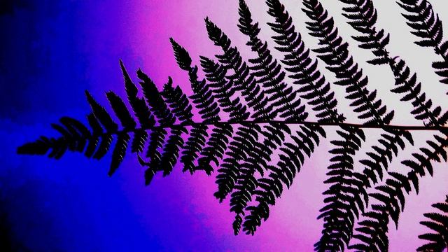 П. Коэльо. О дороге, ведущей в рай. Притча 127. Книга Воина Света