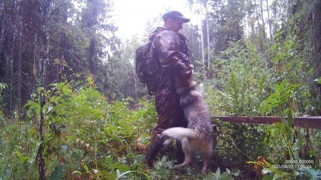 первый глухарь Гайды