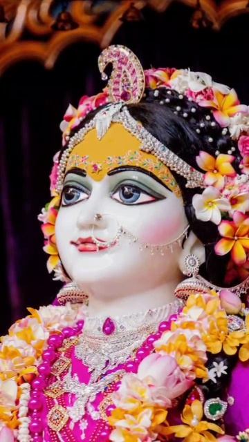 Даршан от 20.04