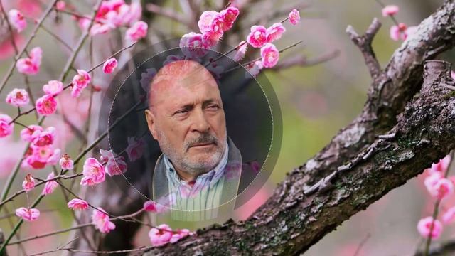 Как просить Бога о помиловании? Лазарев о силе покаяния