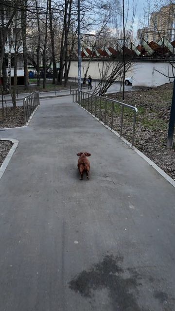 Секрет долголетия...