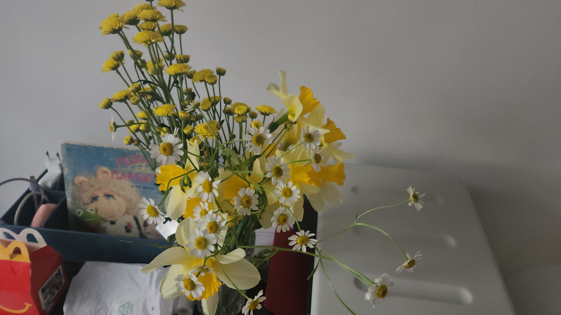 Цветочное настроение//Цветы дома и на наших клумбах