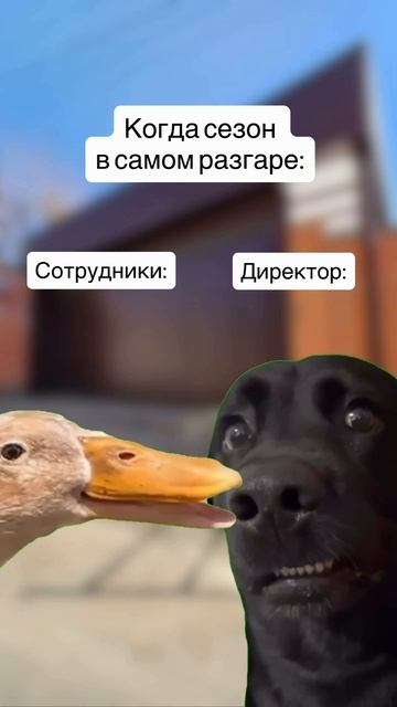 когда сезон в самом разгаре