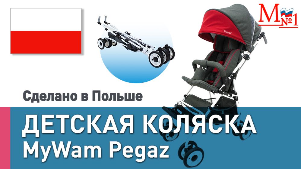РАСПАКОВКА! Видеообзор детской инвалидной коляски. Прогулочная трость MyWam Pegaz от Медтехника №1