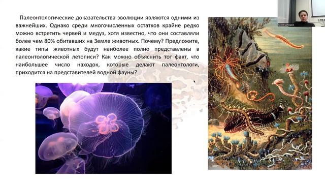 Кишечнополостные