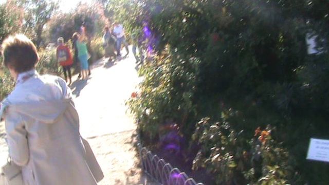 78)D ВОРОНЦОВЫЙ ДВОРЕЦ ТЕРРИТОРИЯ