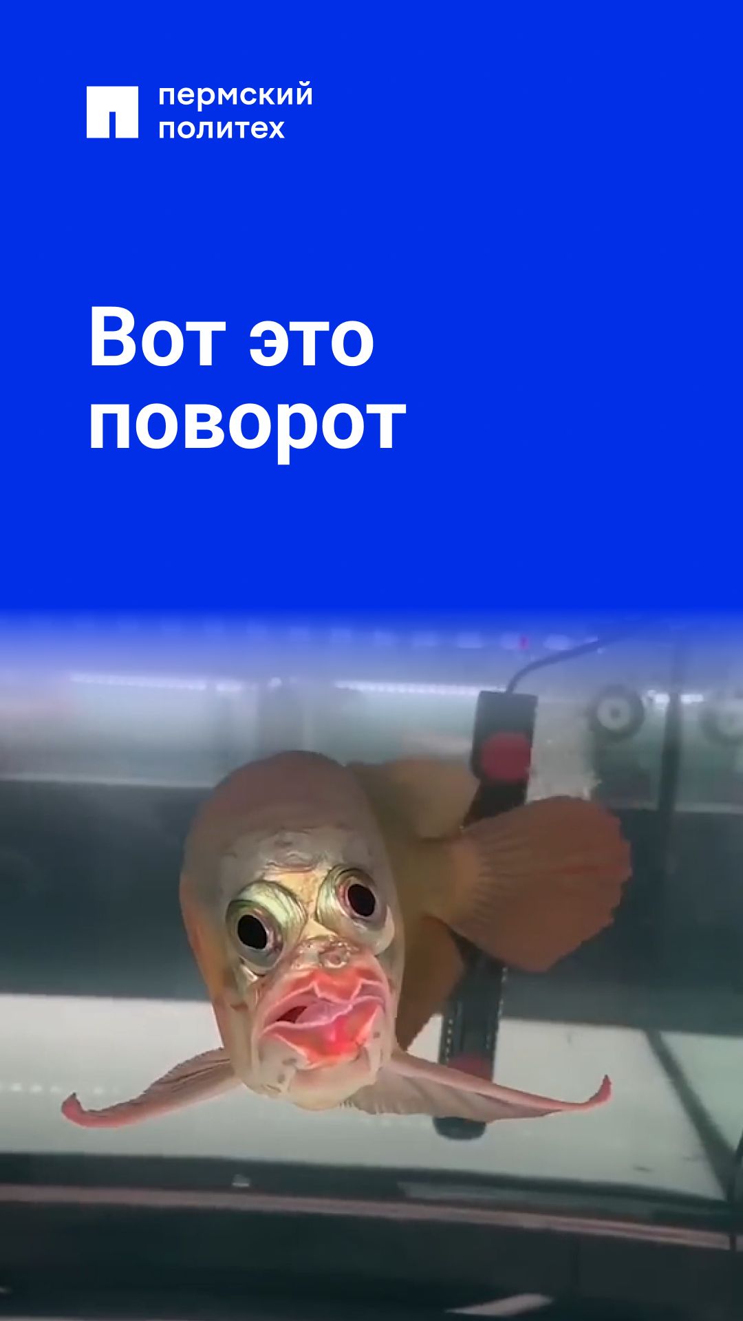 Такого я не ожидал