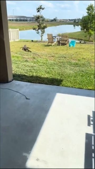 VID_20260421_155912_854.mp4