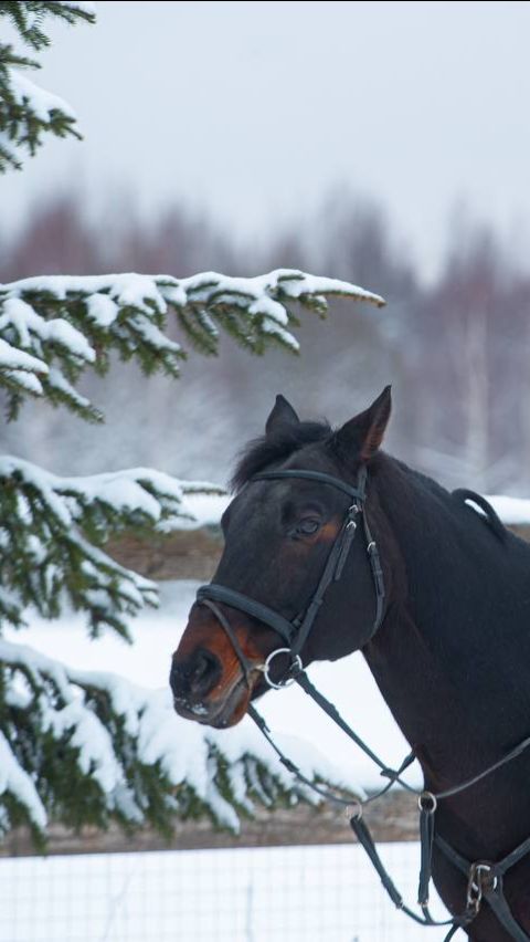 video_2026-04-21_21-21-46