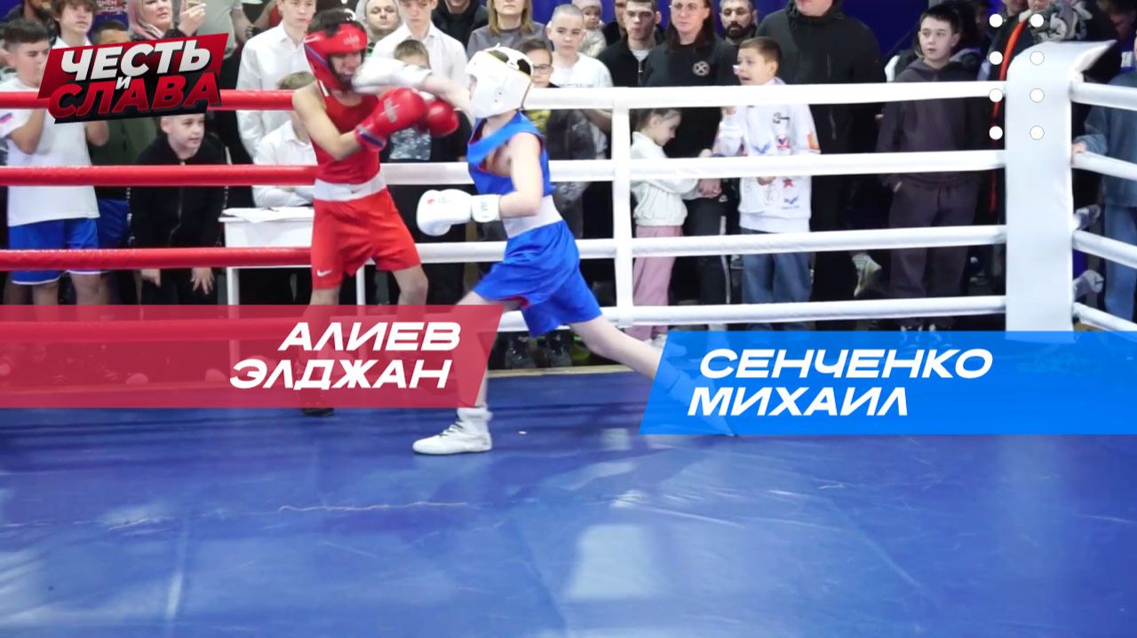 Бой 26, Сенченко Михаил - Алиев Элджан