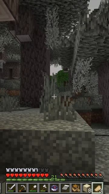 Одна из фишек бледного леса