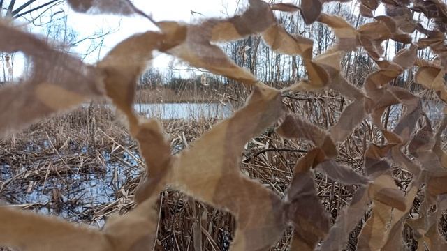 а...в главной роли ОНЖЭ...ОХОТА НА 🦆 СЕЛЕЗНЯ