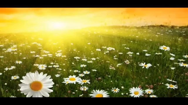 на улице лето, клип