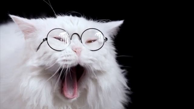 Серотонин-важнейший гормон твоей Радости