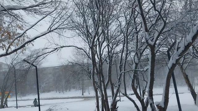 22 АПРЕЛЯ 2026 г.  В. АМУРСКЕ ВТОРЫЕ СУТКИ СНЕГ. НАМЕЛО СУГРОБОВ..