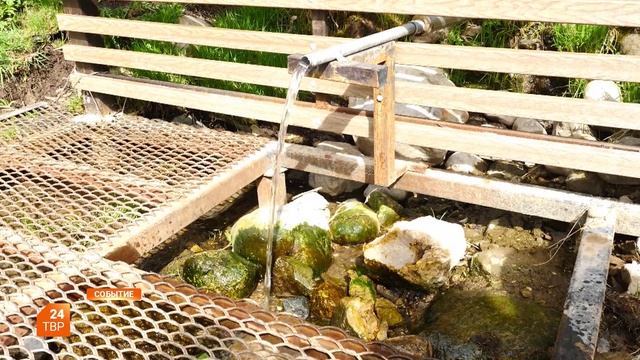 На субботник в Благовещенский овраг