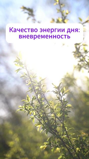 Вневременность. Качество энергии дня 22.04.2026