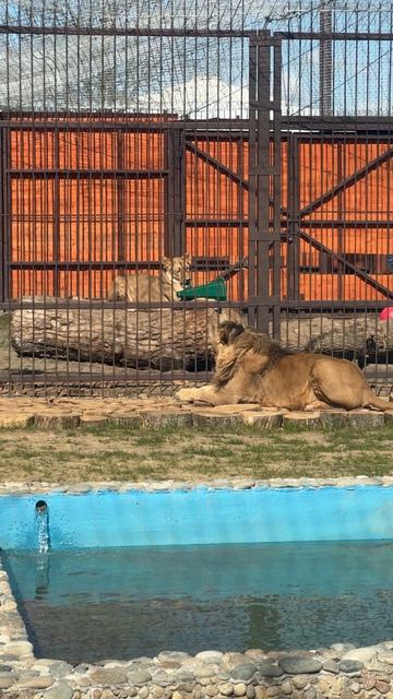 Да ладно уже,грызи