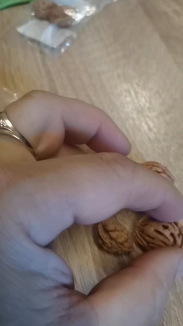 Сравнение персиковых косточек разных сортов.