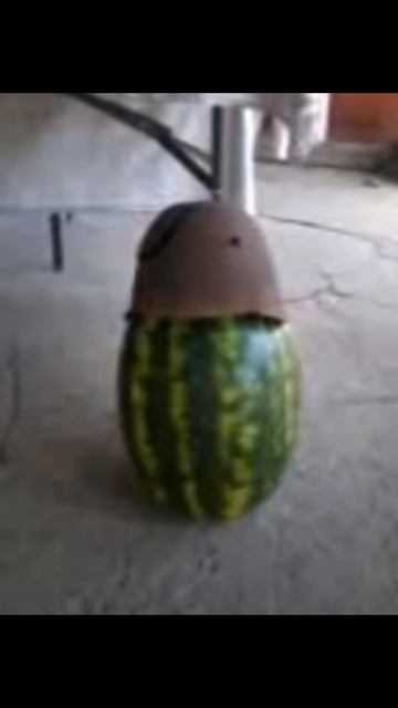 Арбуз Арбуз