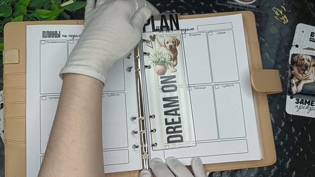 Обзор дизайнерского планера/ежедневника 