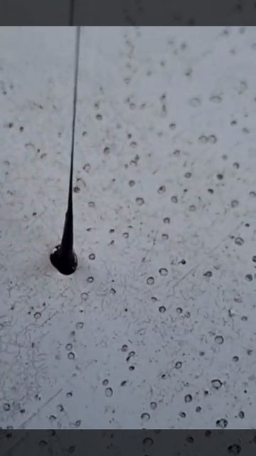 Туапсе нефтеоблако очищает только кока из колы