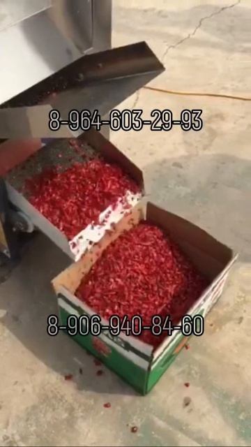 Станок для удаления семян перца чили (300 кг/ч)