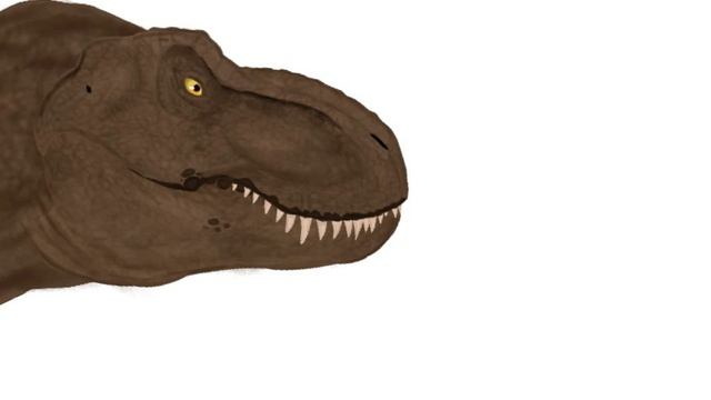 теперь видео в 3 д будут выпутся чаше...