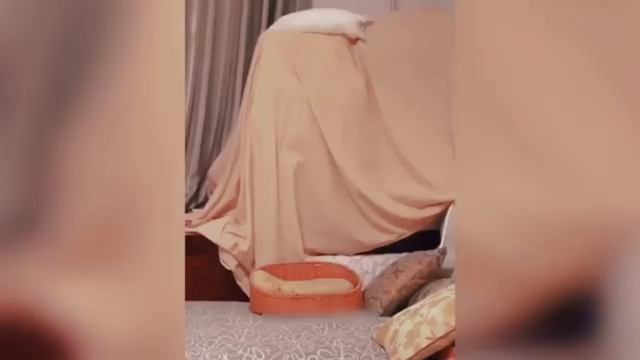 ТОП смешных видео 2026 года с домашними животными, котиками и собакенами 😁🐕🦺🐕💃🏻🐈⬛ржака!