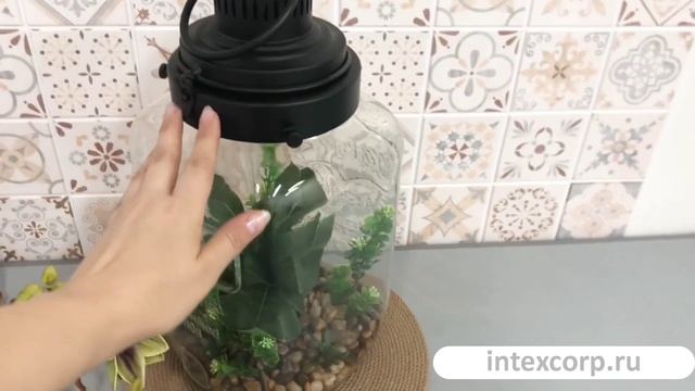 Декоративный флорариум ВЕЖЕТО с подсветкой, 39х20 см, HZ1952870-2