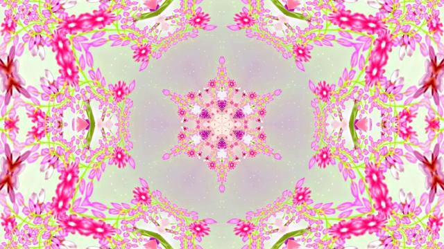 Весна! Очаровательные тюльпаны 7! Киностудия Мудрого Кота Тимофея!