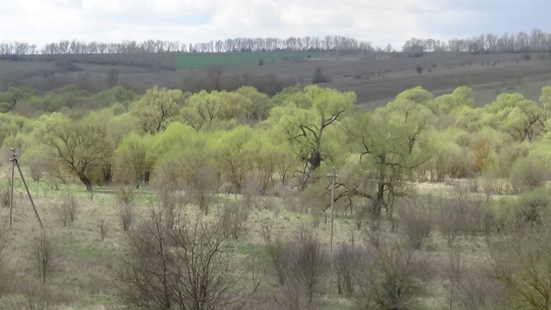 самостоятельная сео что такое яндекс директ простыми словами