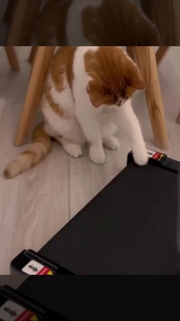 Астропрогноз для Раков. Пора заняться спортом