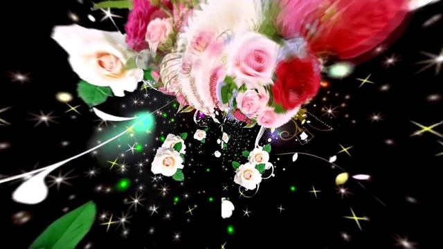 Футажи! Футаж Букеты роз К 3 от Киностудии Мудрого Кота Тимофея!!!