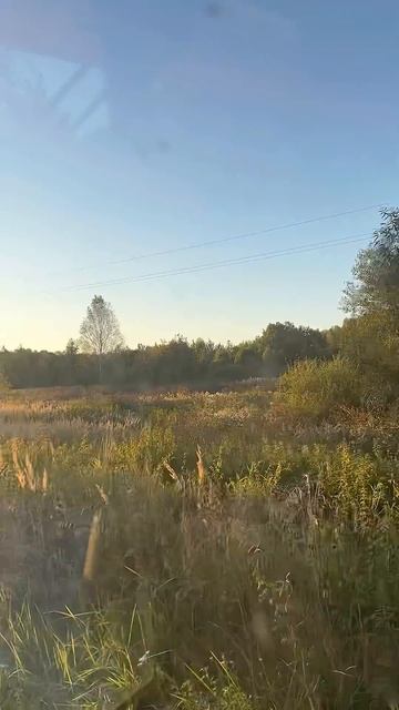 ТГК: Сонька и четырка ссылка в шапке профиля трактор беларус мтз82 атмосфера лето техника