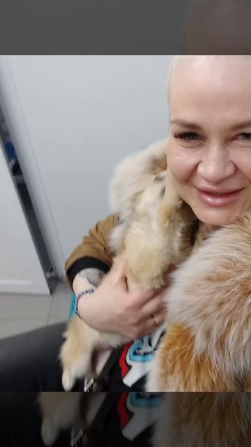 23.04.2026.Отчет . Сегодня забрали Боню из клиники. Спасибо всем причастным за спасение живой души🙏