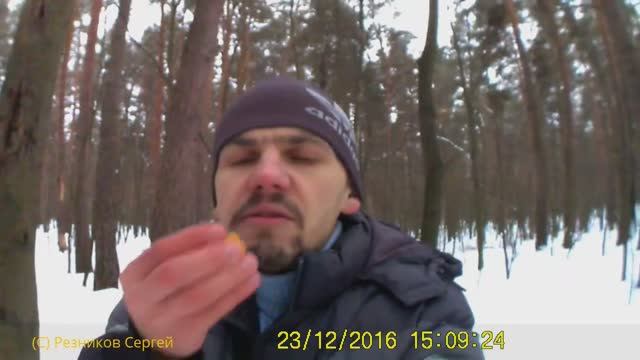 ЖИЗНЕННЫЙ ВЛОГ ЛЕСНОЙ ОБЖОР МИНИ ОБЗОР ПОКУПОК ПЯТЕРОЧКА