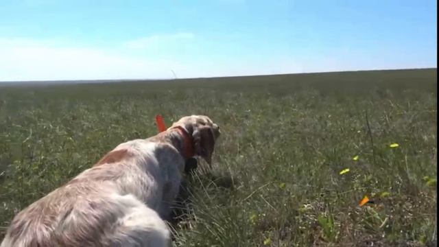 Норман. 22.04.26