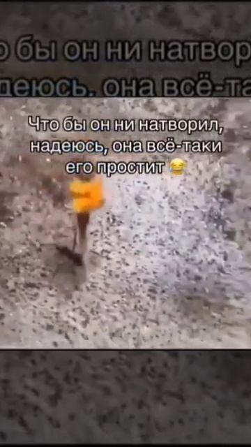 Похоже косяк серьезный))) Подписываемся;)