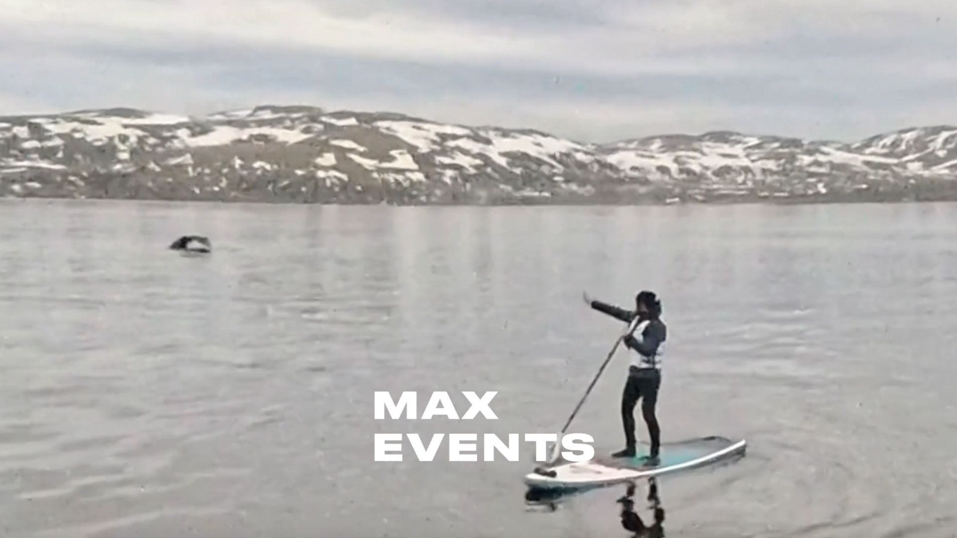 САП Териберка киты