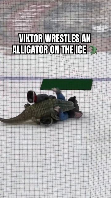 Only in South Florida