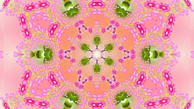 Весна! Очаровательные тюльпаны 8! Киностудия Мудрого Кота Тимофея!