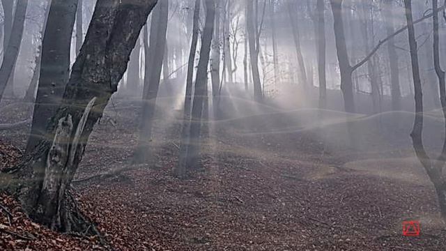 Из аввы Исаии