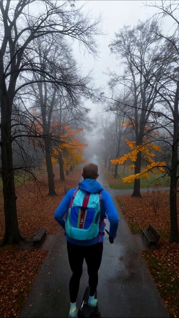 Туманный осенний парк #осень #туман