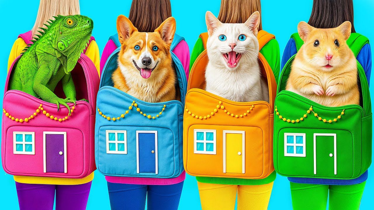 Строим Домики для Животных c Candy DO