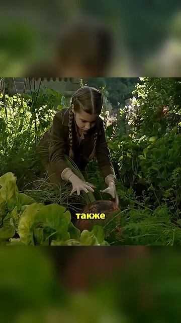 🍿 В этой школе учатся очень странные дети