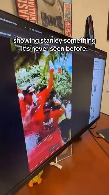 do you think we rotted its brain?