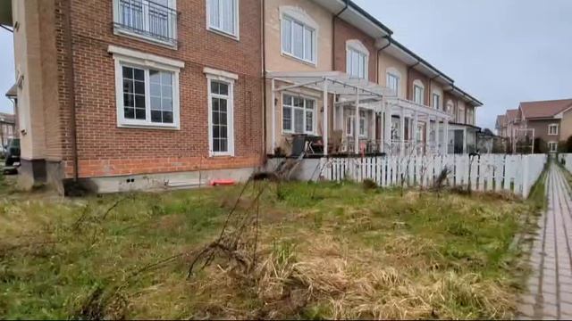 Я гуляю с котом часть 2