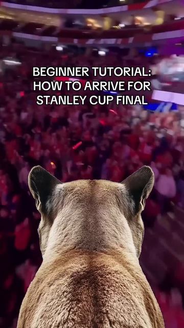 Everybody pulling up on a Panther or what?