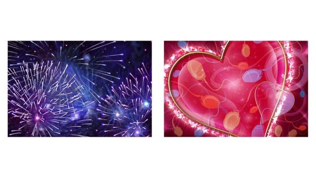 Ты мой Праздник